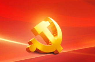 安徽高安电子科技有限公司党支部成立